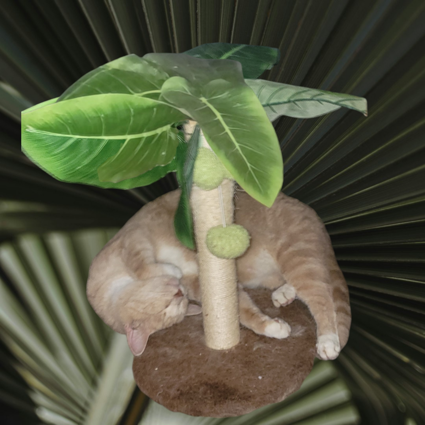 Palm Tree Scratching Post