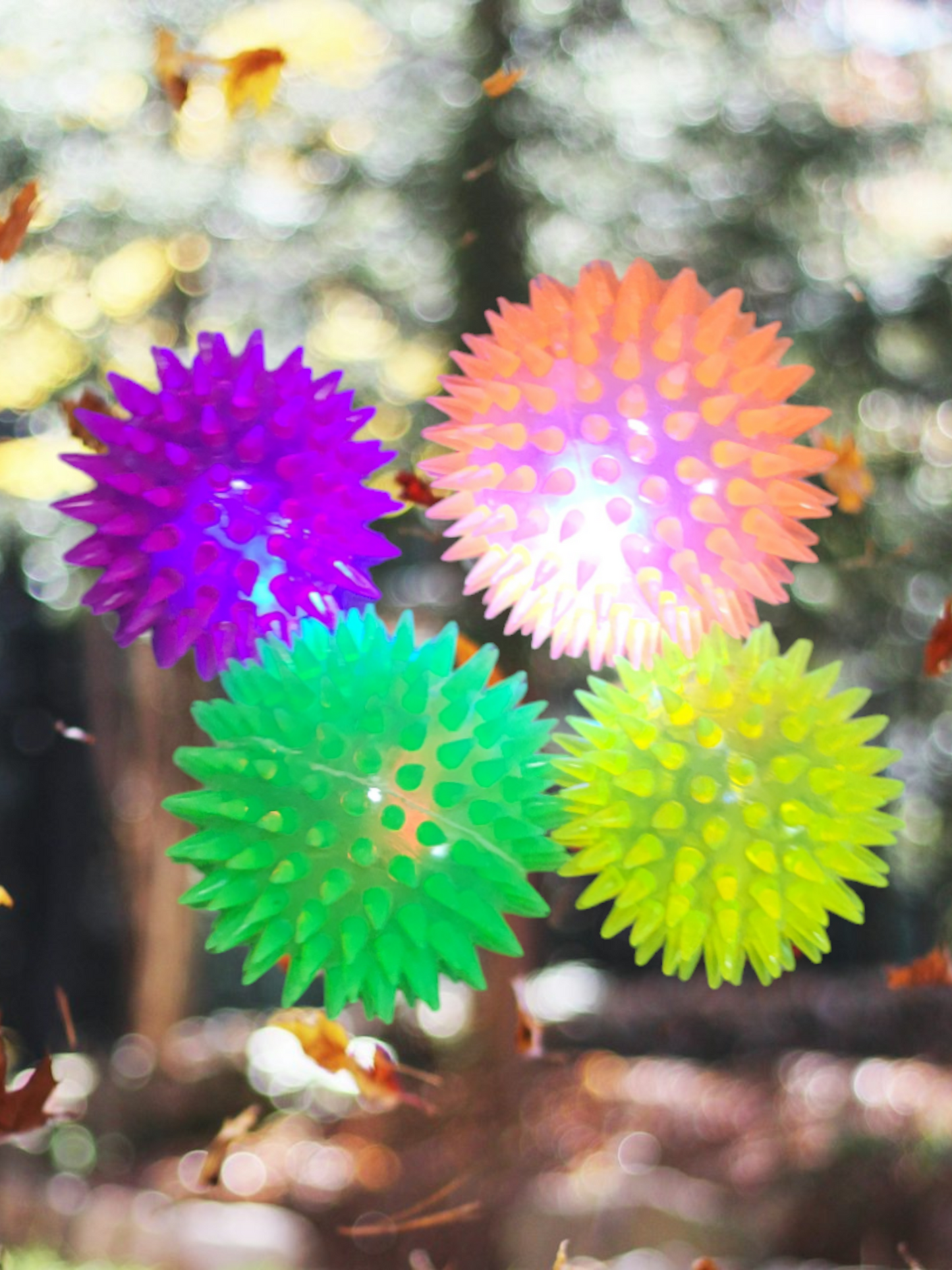 Light-Up Squeaky balls