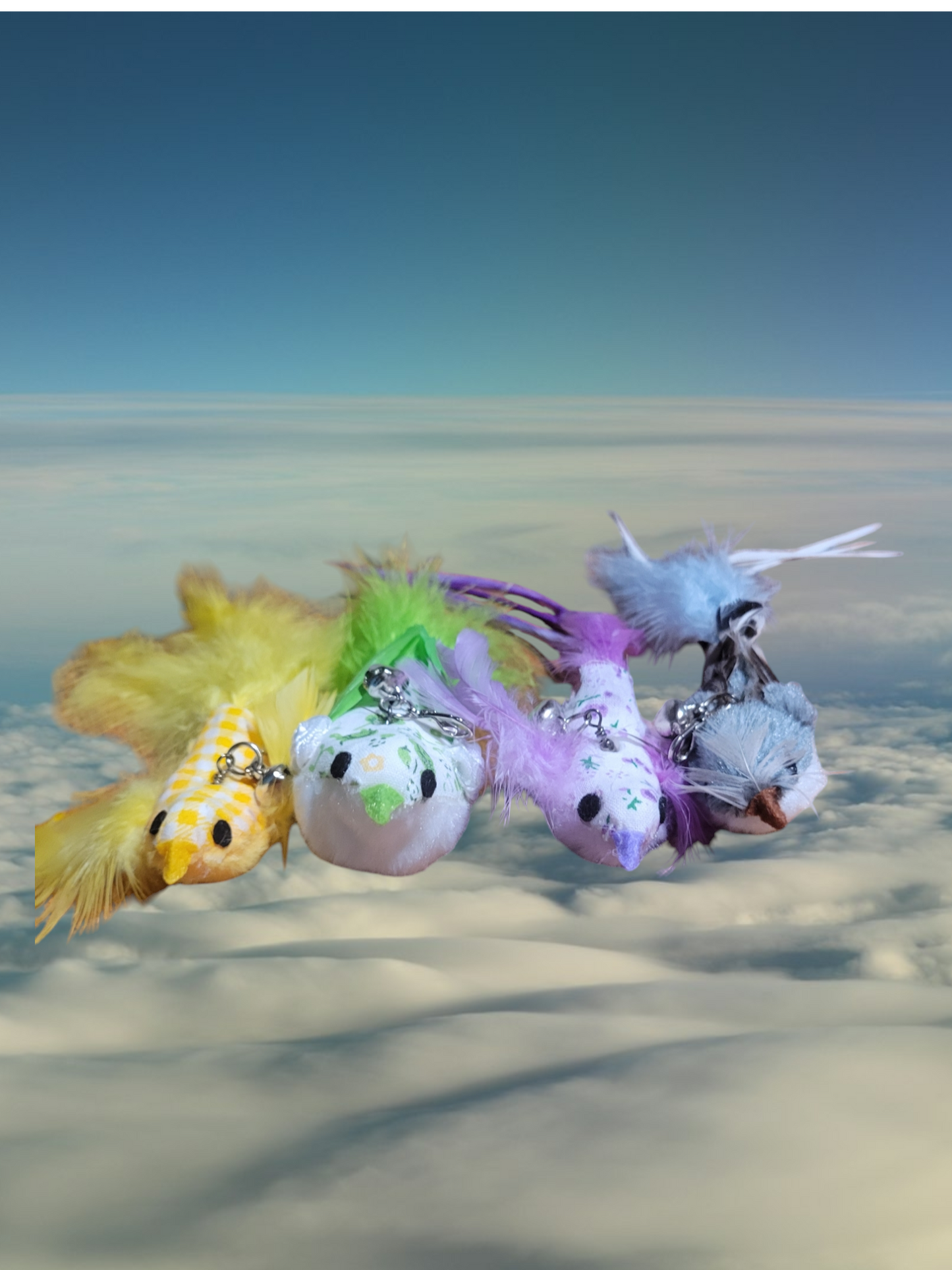 Bird Teaser