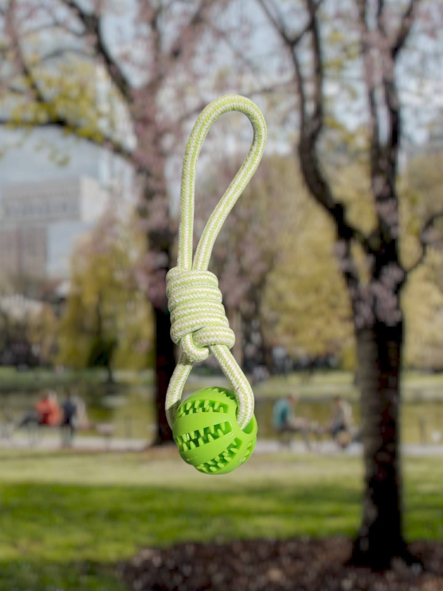 Rope Toy and Treat Ball