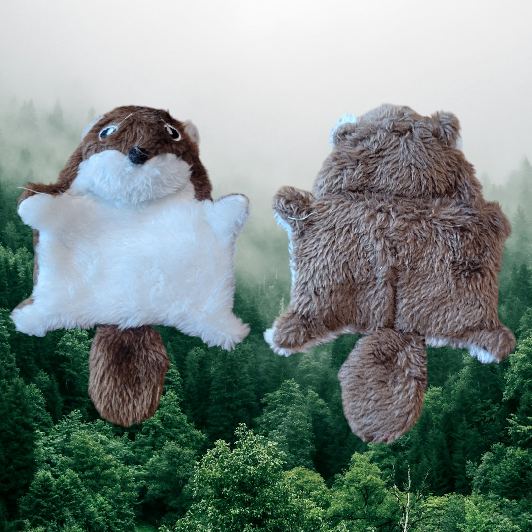 Flying Squirrel