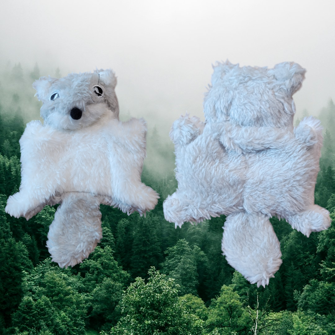 Flying Squirrel
