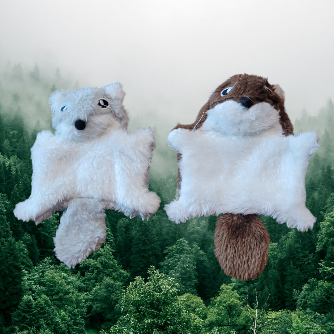 Flying Squirrel