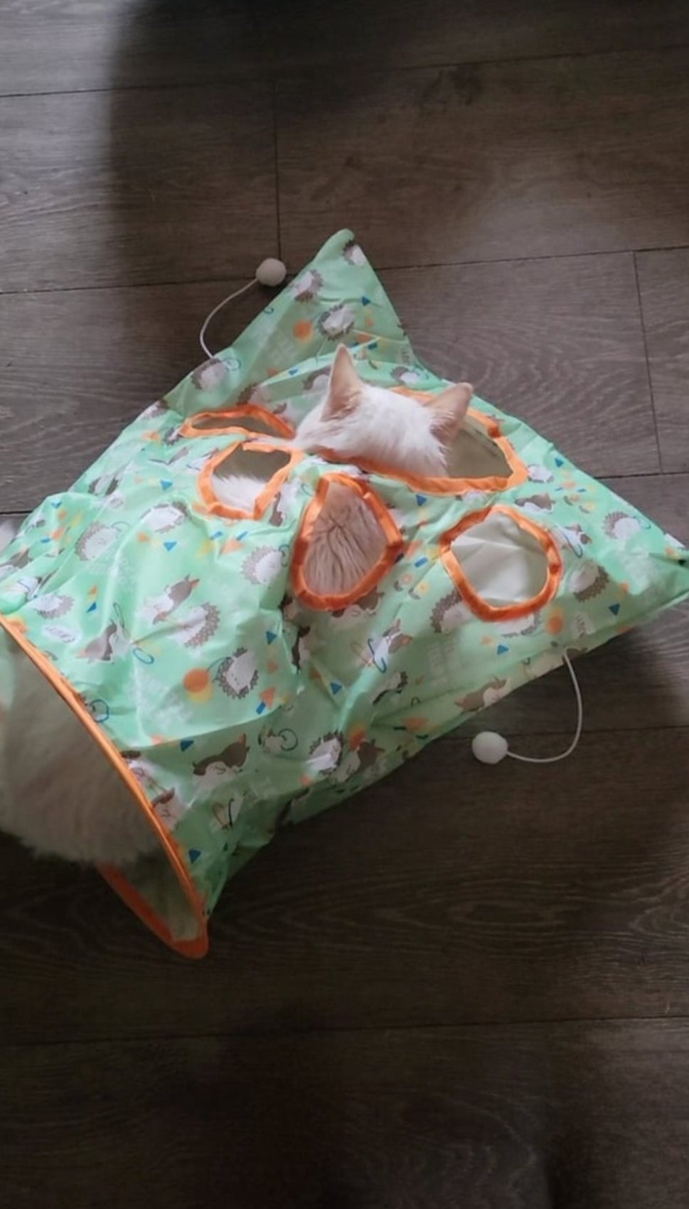 Tunnel Bag