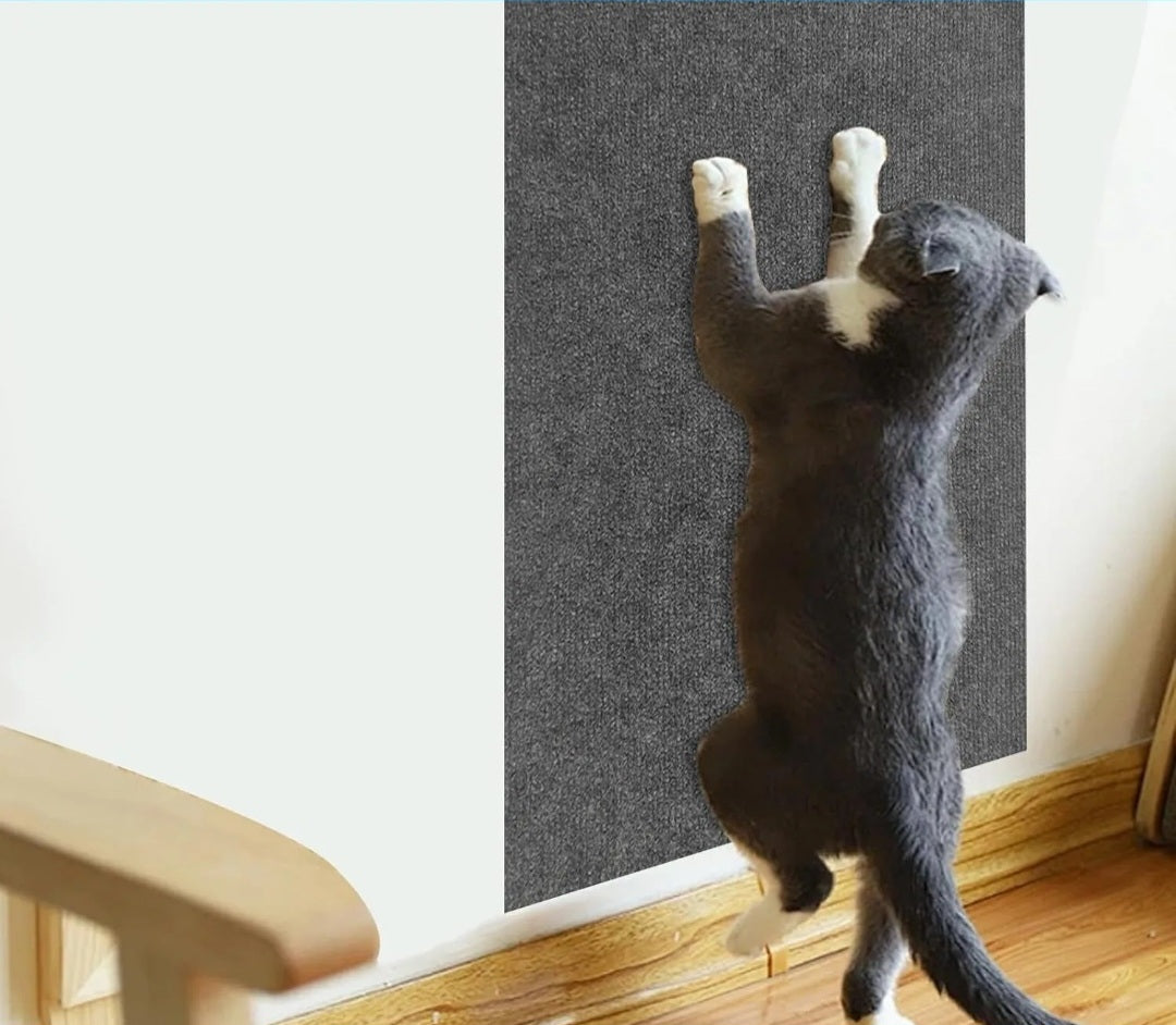Adhesive Scratching Pad