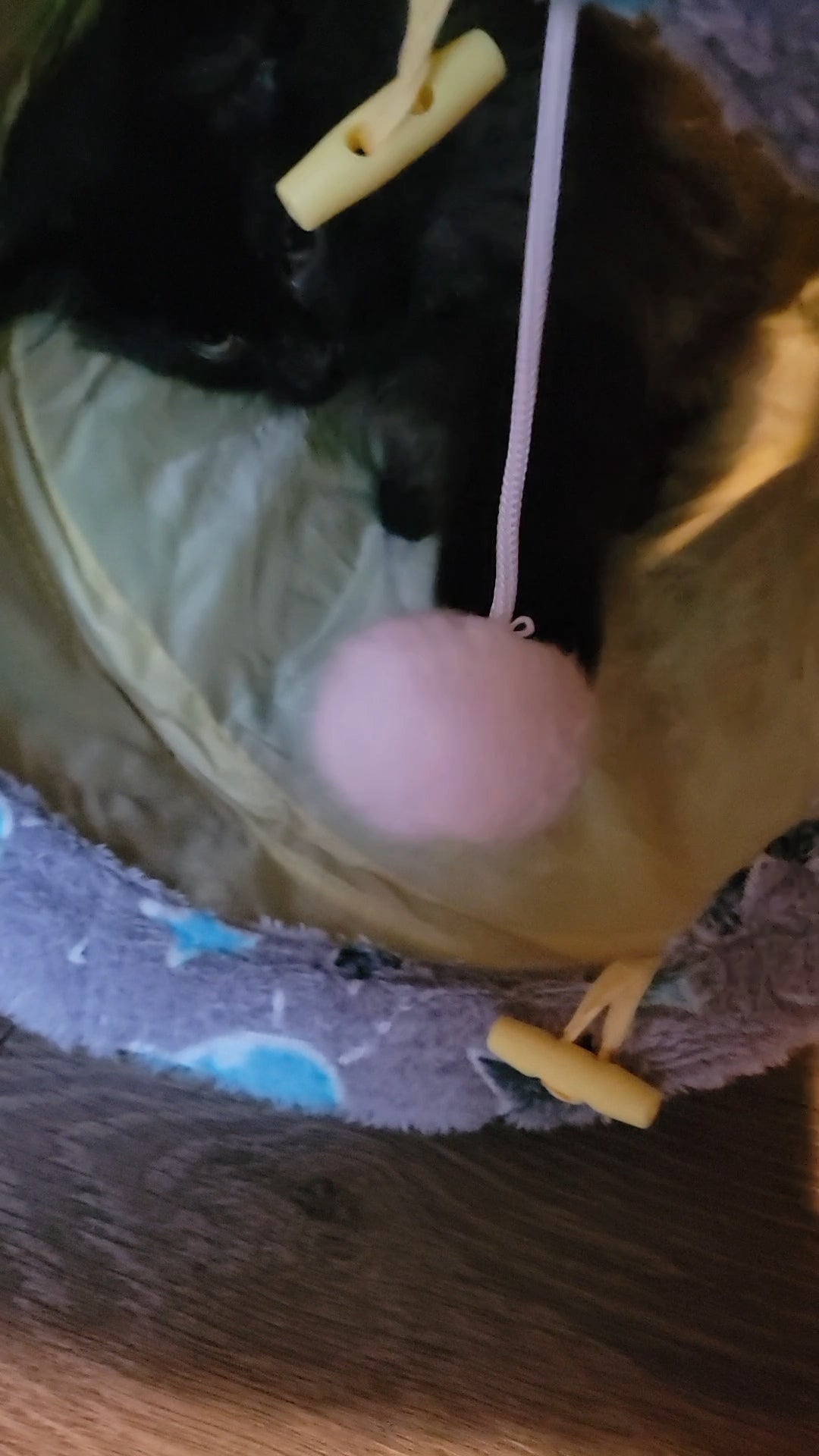 Self-Luminous Cat Tunnel