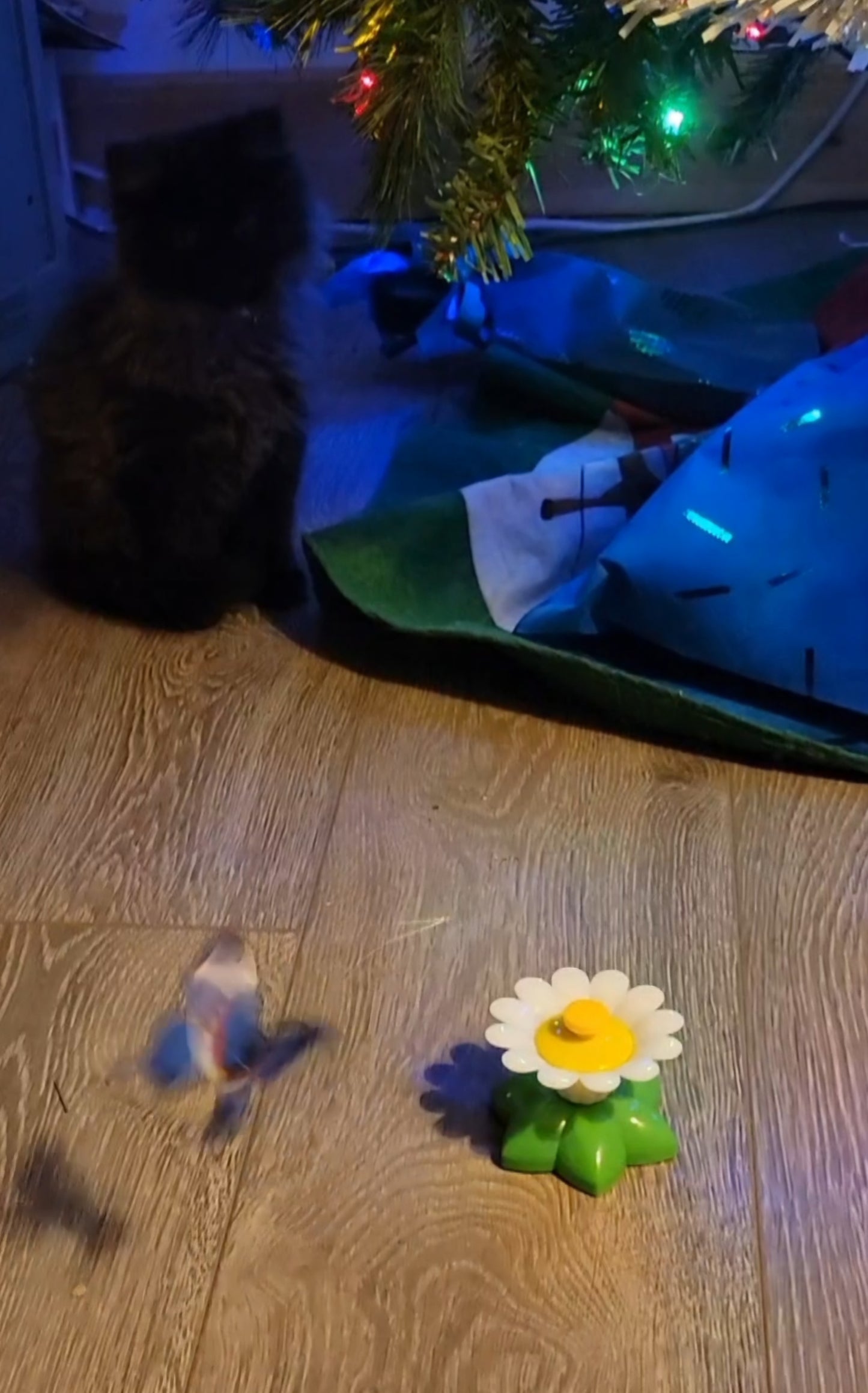 Butterfly Interactive Toy