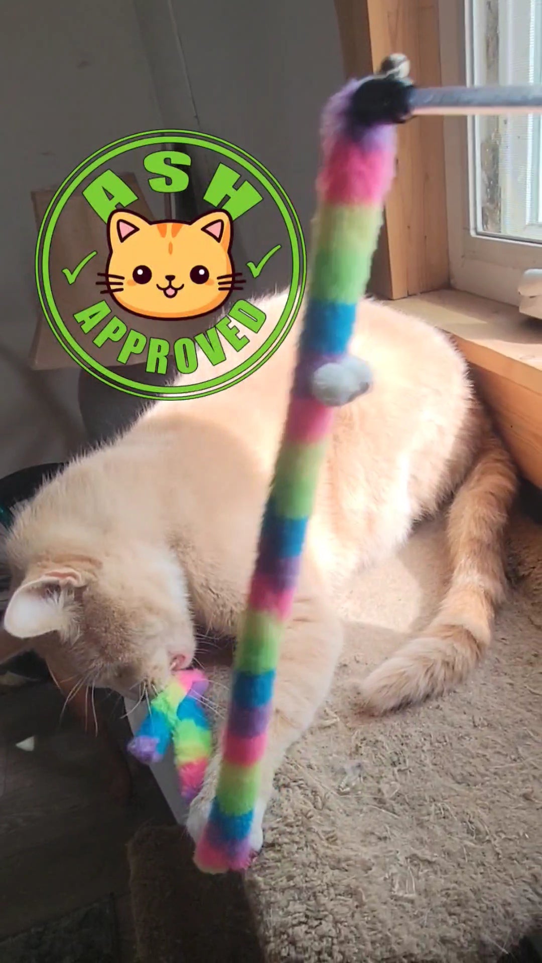 Rainbow Wand
