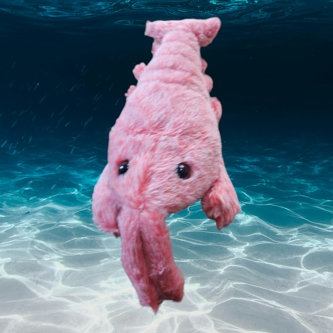 Lobster Interactive Kicker Toy