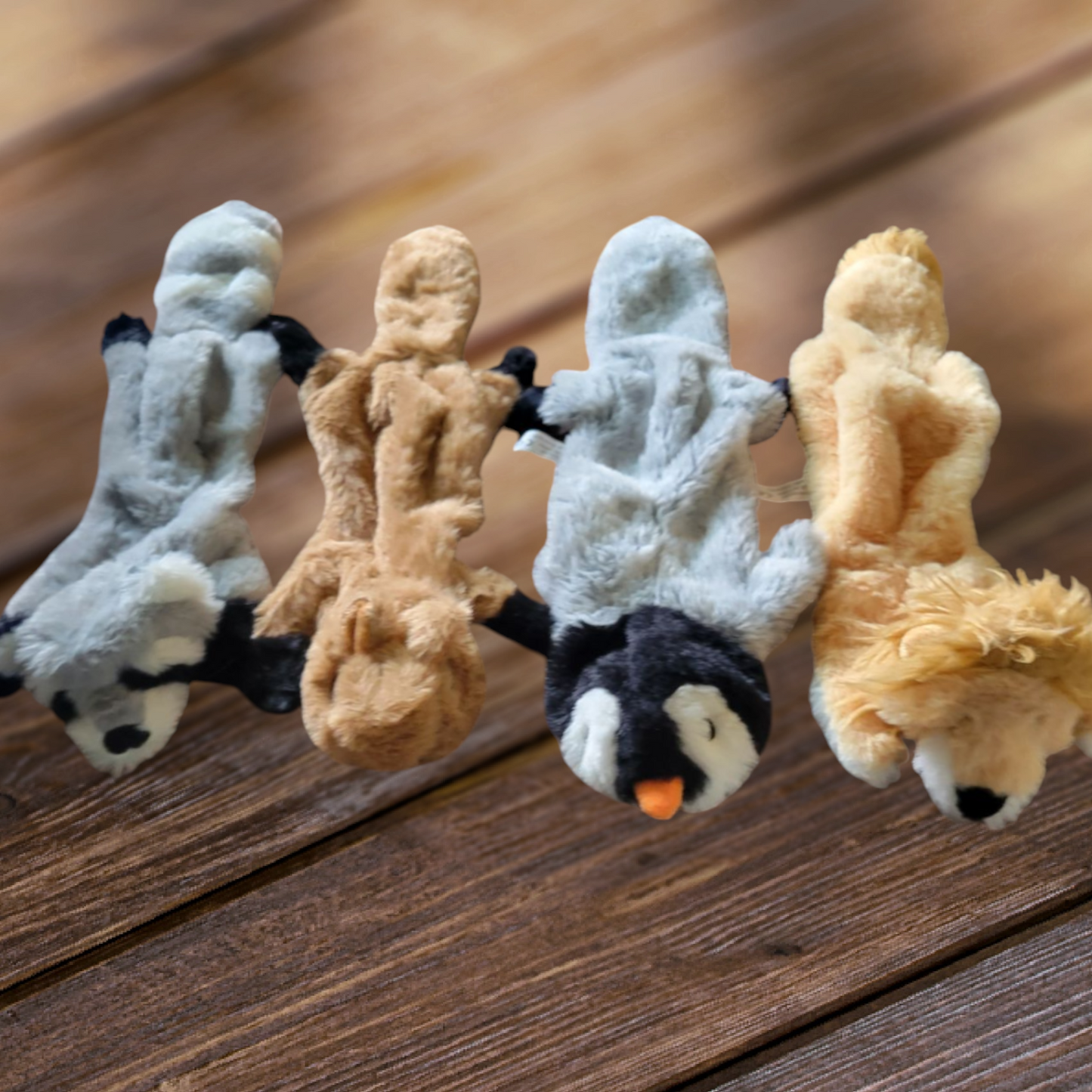 Flat Squeaky Toys