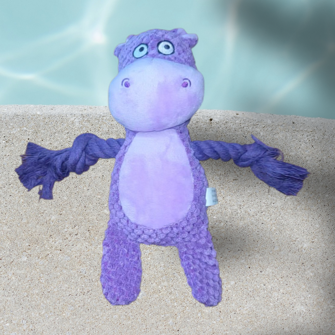 Hippo