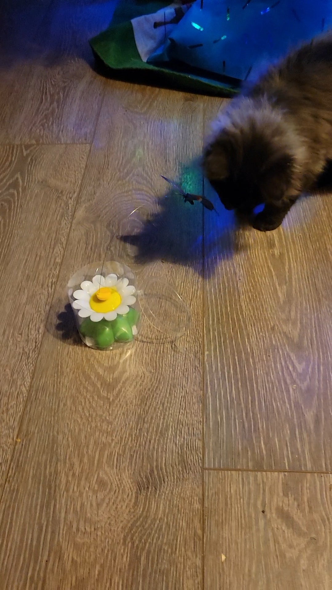 Butterfly Interactive Toy