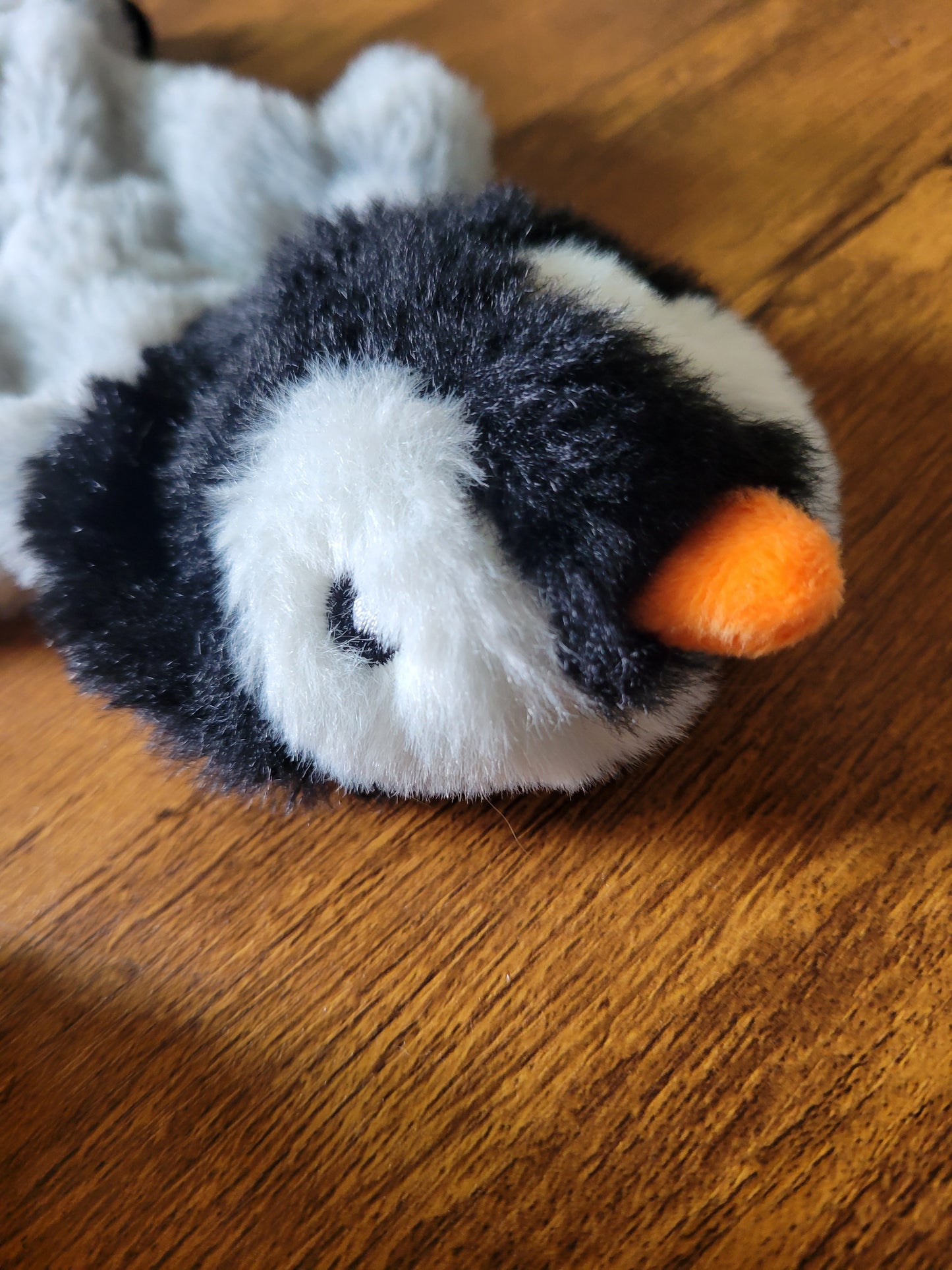 Flat Squeaky Toys