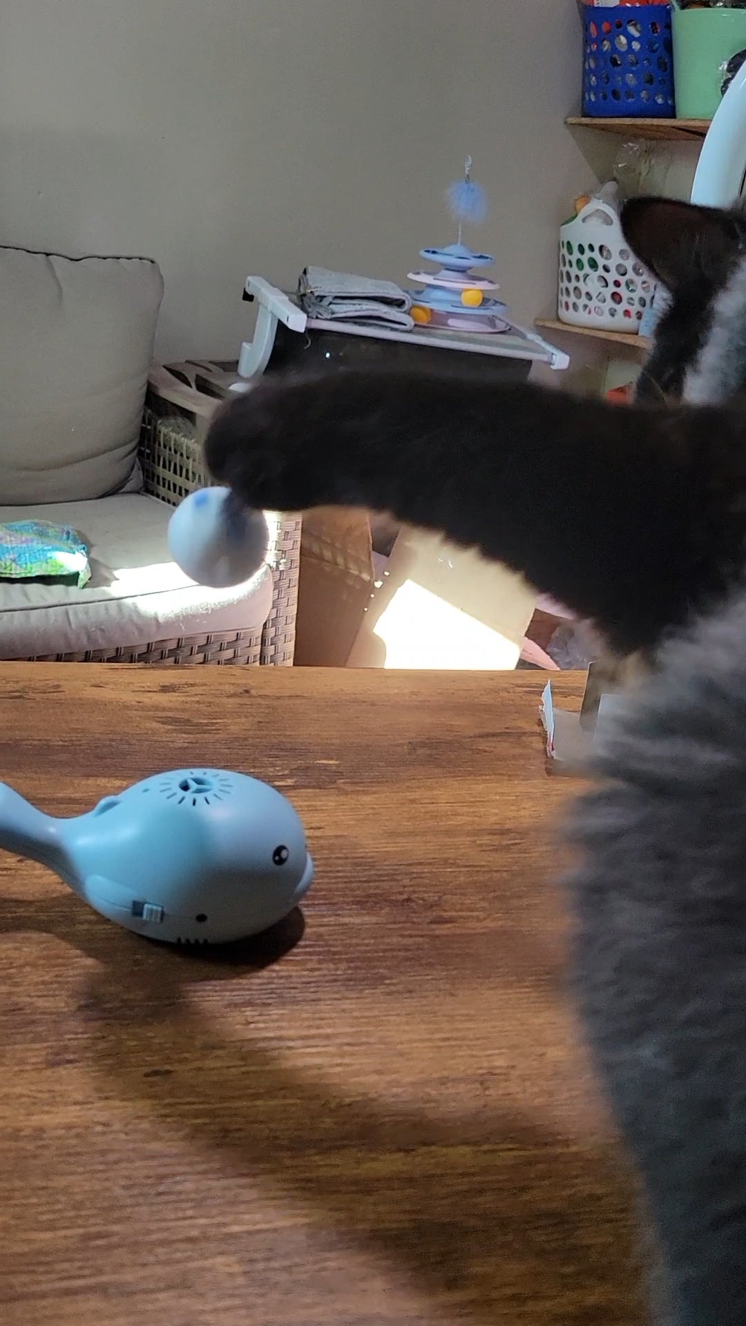 Interactive Floating Ball Whale Toy