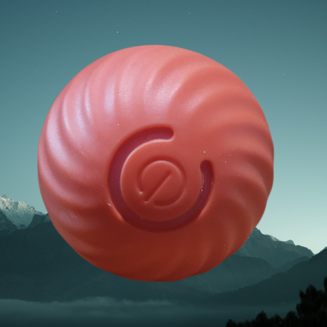 Interactive Dog Toy