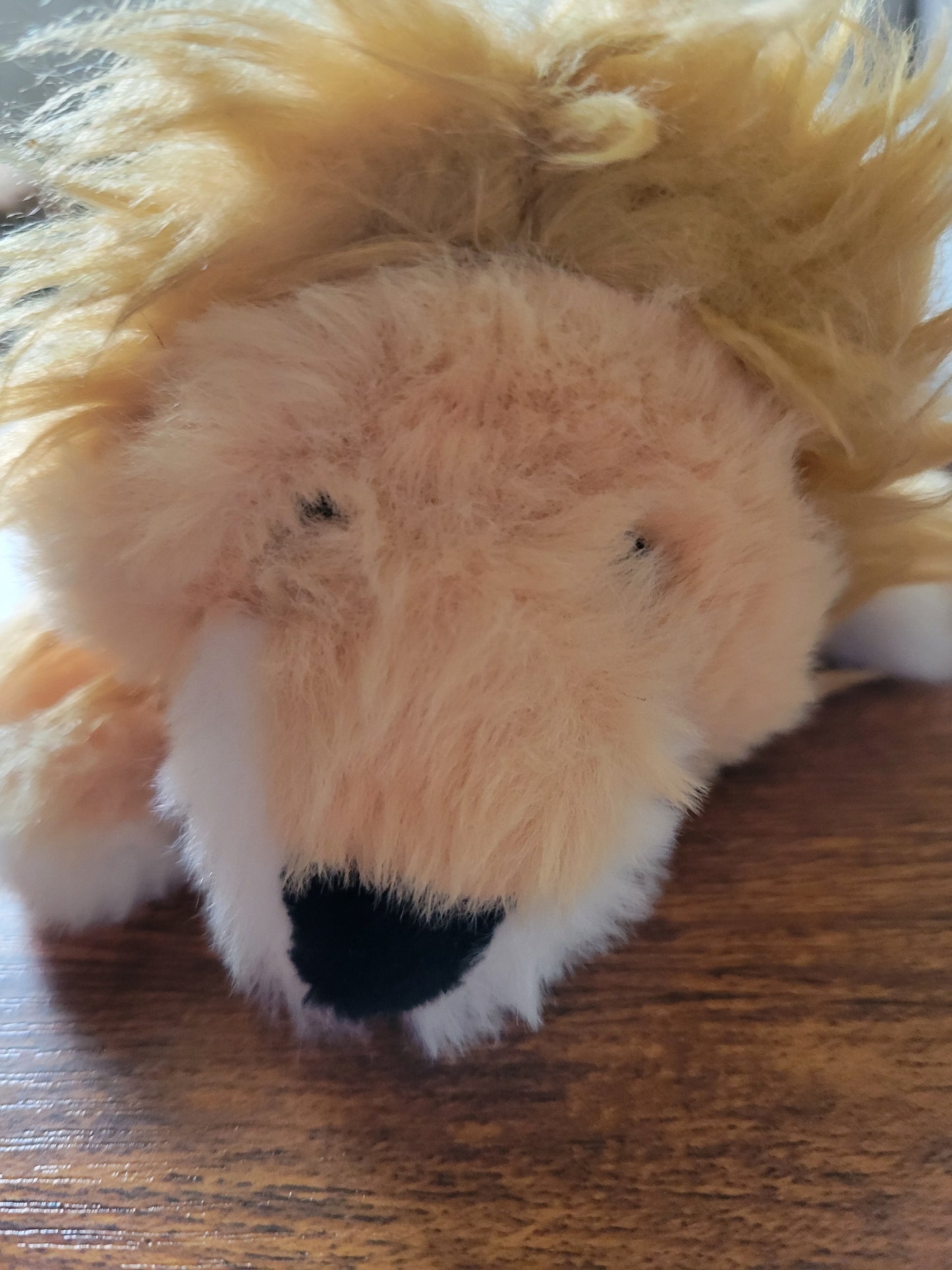 Flat Squeaky Toys