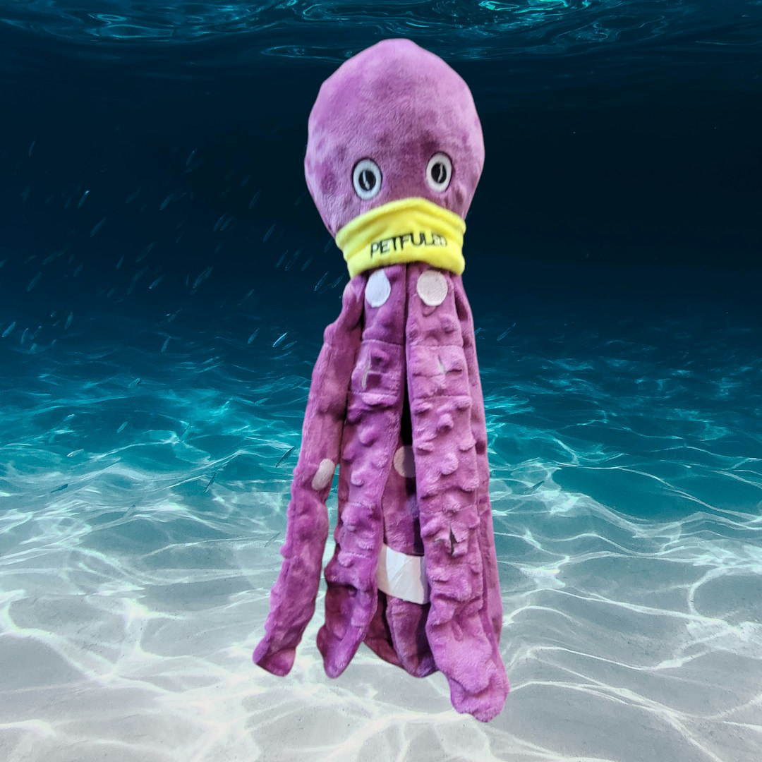 Octopus Foraging Toy