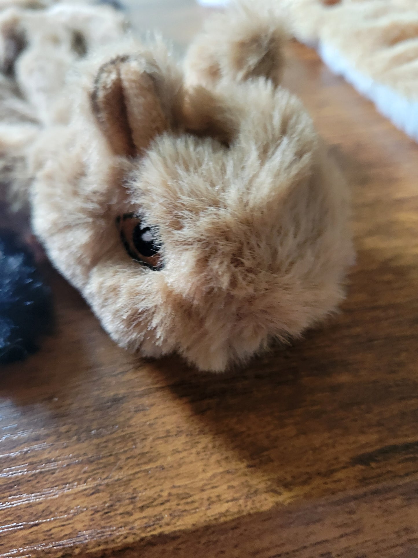 Flat Squeaky Toys