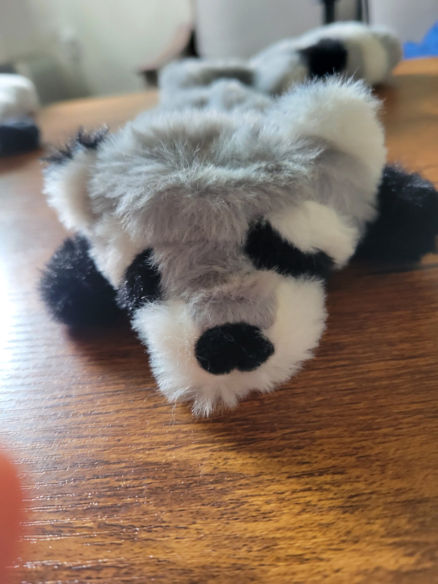 Flat Squeaky Toys
