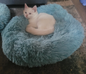 Donut Bed