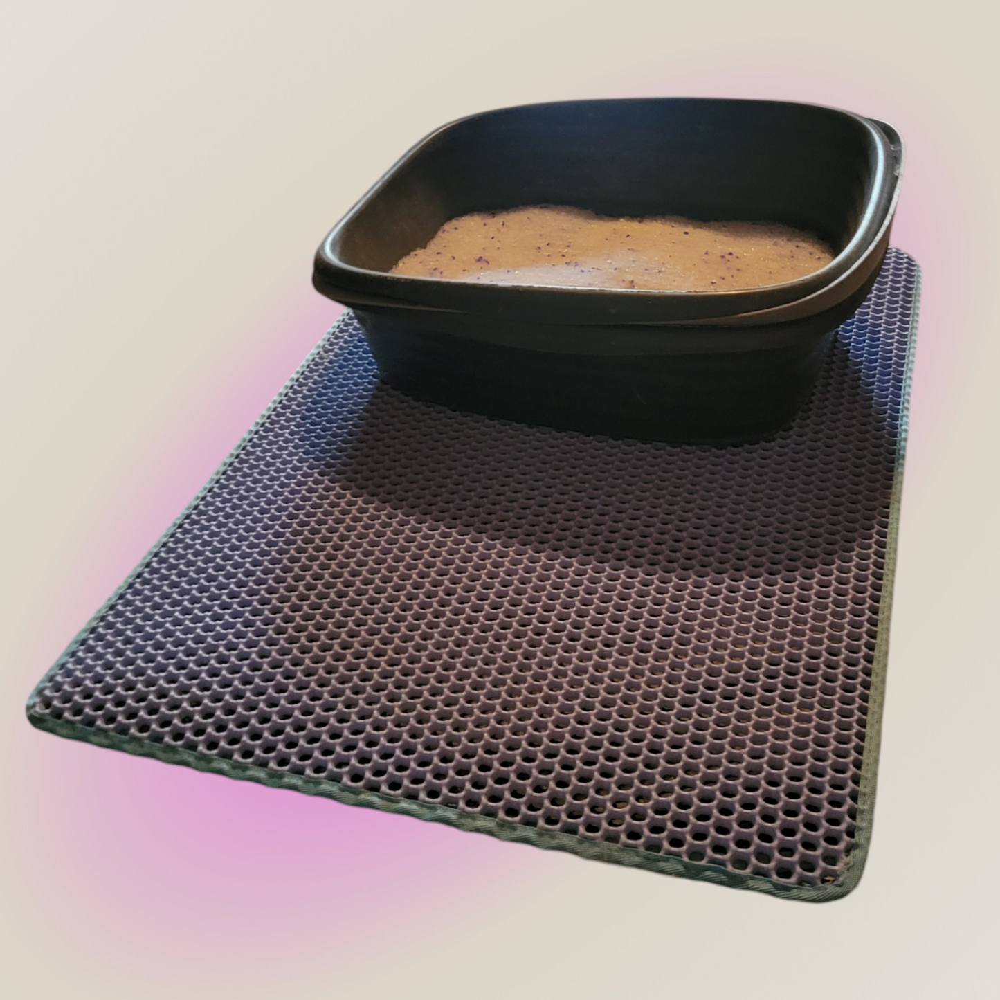 Double-Layered Litter Mat