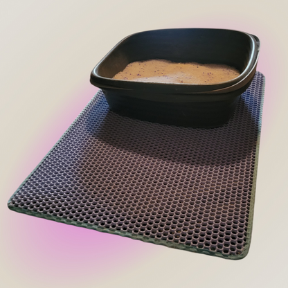Double-Layered Litter Mat