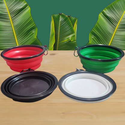 Collapsible Bowls