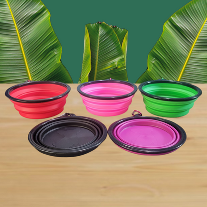 Collapsible Bowls