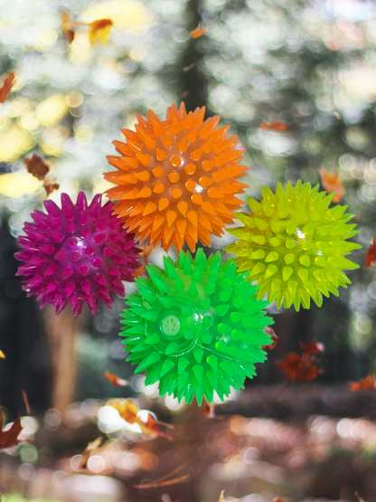 Light-Up Squeaky balls