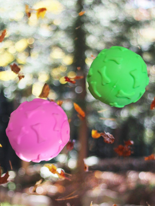Soft Squeaky Balls