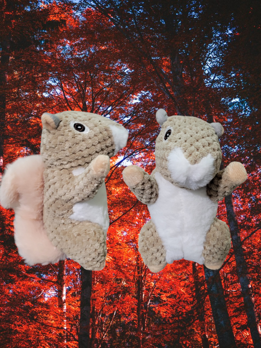 Squirrel Squeaky Toy