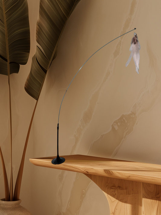 Detachable Wand Teaser