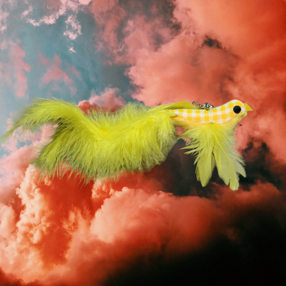 Bird Teaser