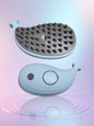Steam Brush