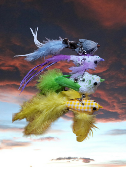Bird Teaser