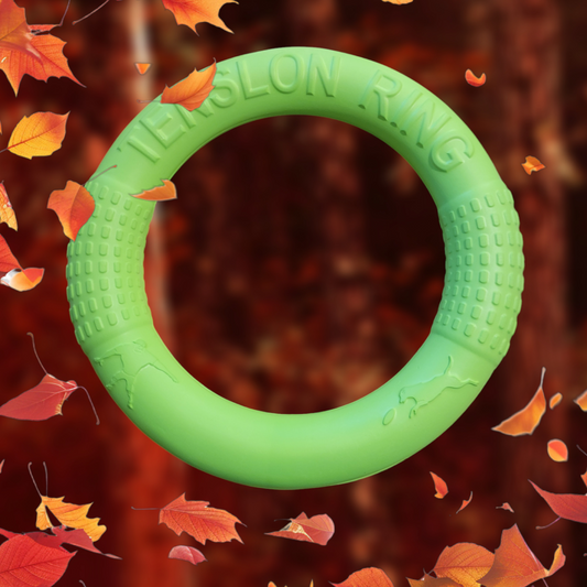 Donut Toy