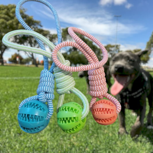 Rope Toy and Treat Ball