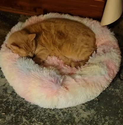 Donut Bed