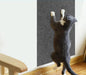 Adhesive Scratching Pad