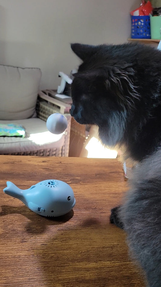 Interactive Floating Ball Whale Toy