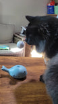 Interactive Floating Ball Whale Toy