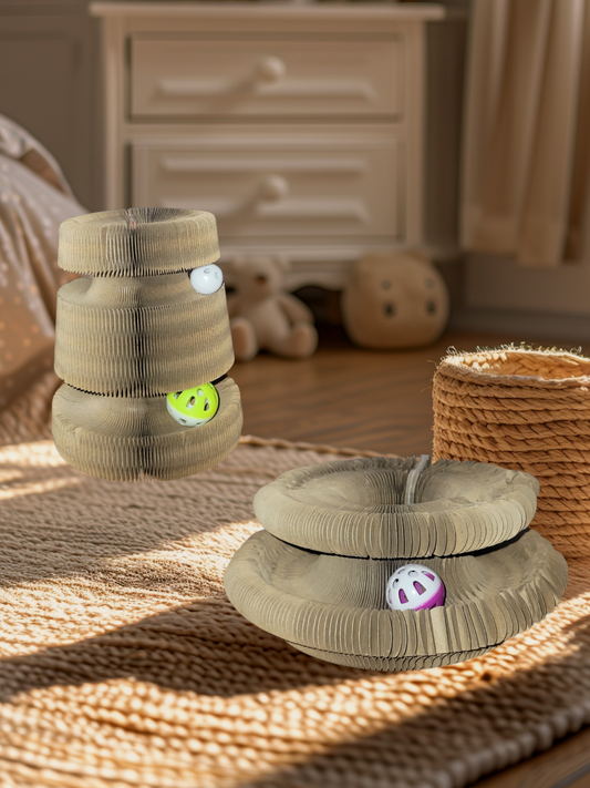 Cardboard Accordion Toy