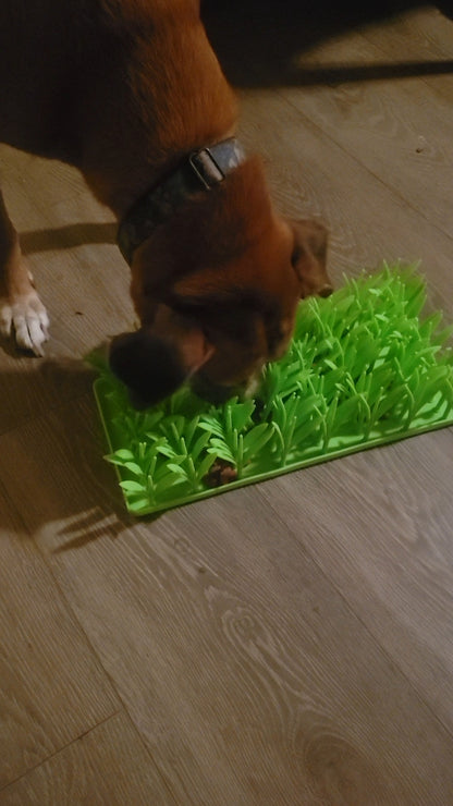 Slow Feeder Grass Pad