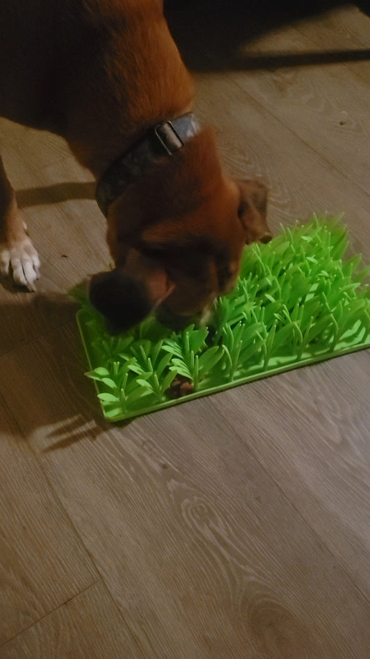 Slow Feeder Grass Pad