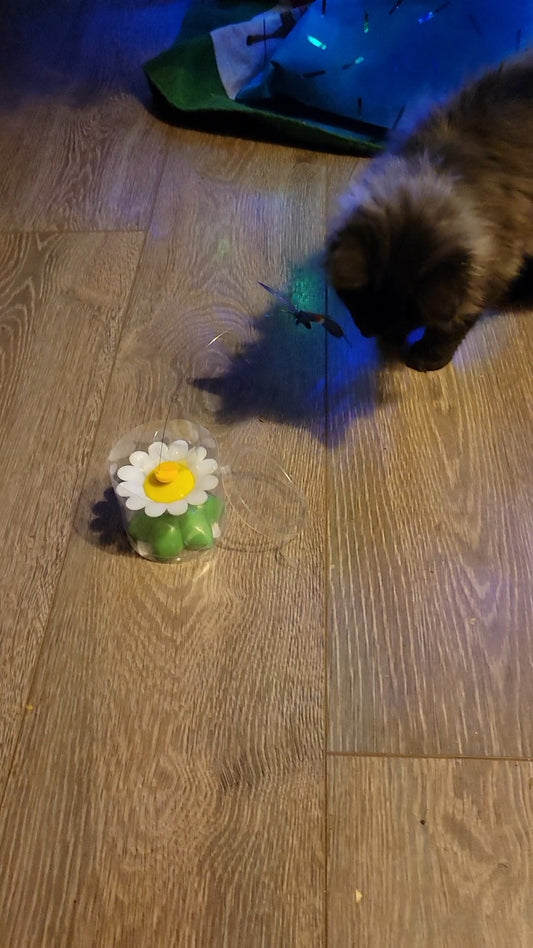 Butterfly Interactive Toy