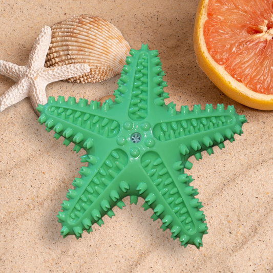 Starfish Durable Chew Toy