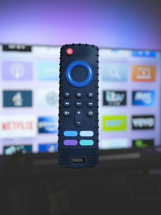 Remote Chew Toy