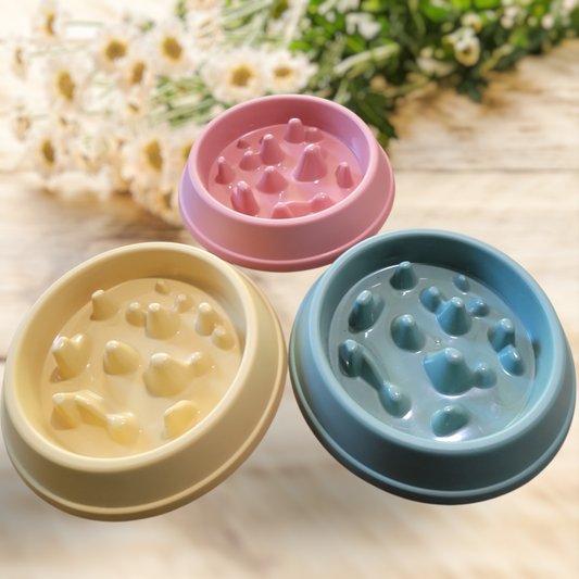 Slow Feeder Dog Bowls