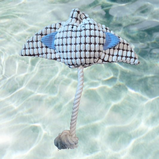 Stingray