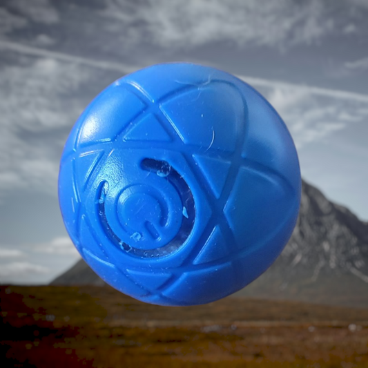 Interactive Dog Toy